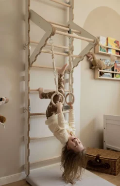 MAMOI® Klettergerüst Indoor, Sprossenwand Für Kinderzimmer, Turnringe Kinder Für Klettern, Kletterwand Und Spielgeräte, Turngeräte Mit Klimmzugstange Für Drinnen, Sportgeräte Ab 3 Jahren -Bestintex Geschaft a3d3713bef5f6422fa99f2b1e3c6f179