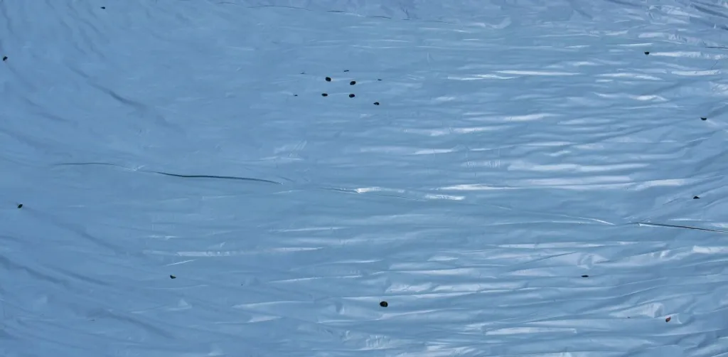 INTEX 28030 Abdeckplane Für Frame Pool Ø 305cm, Überhang 25cm 16 INTEX 28030 Abdeckplane Für Frame Pool Ø 305cm, Überhang 25cm – Bild 14